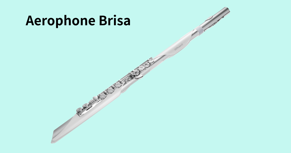 Aerophone Brisa本体の全体像